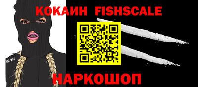 гашик Заводоуковск
