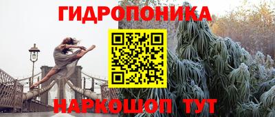 гашик Заводоуковск