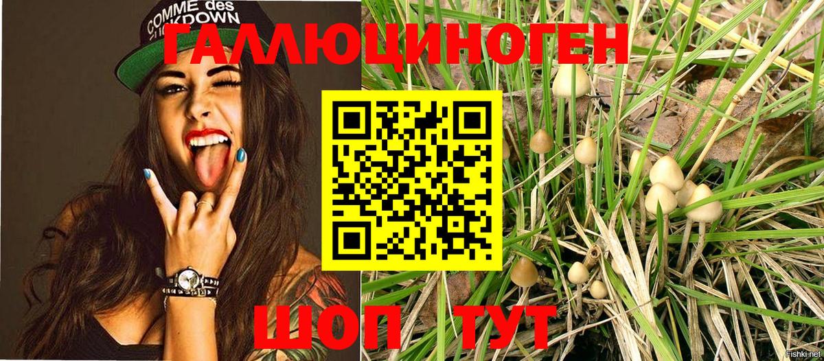 Псилоцибиновые грибы мицелий Курчатов