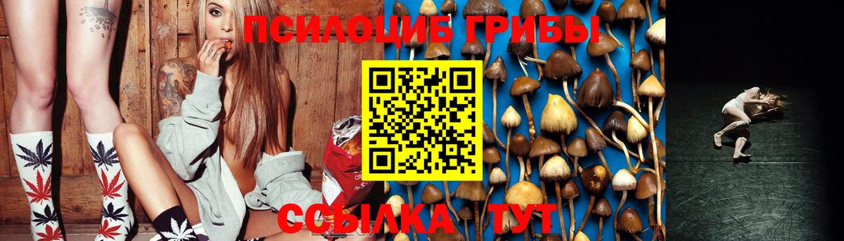 Галлюциногенные грибы Psilocybine cubensis  Вход с VPN  Псилоцибиновые грибы Psilocybine cubensis  Курчатов 
